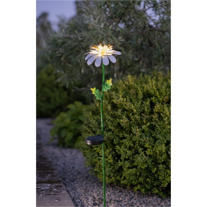Solcellsdekoration Daisy Vit Star Trading – bild 6