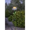 Solcellsdekoration Daisy Vit Star Trading – miniatyr 5