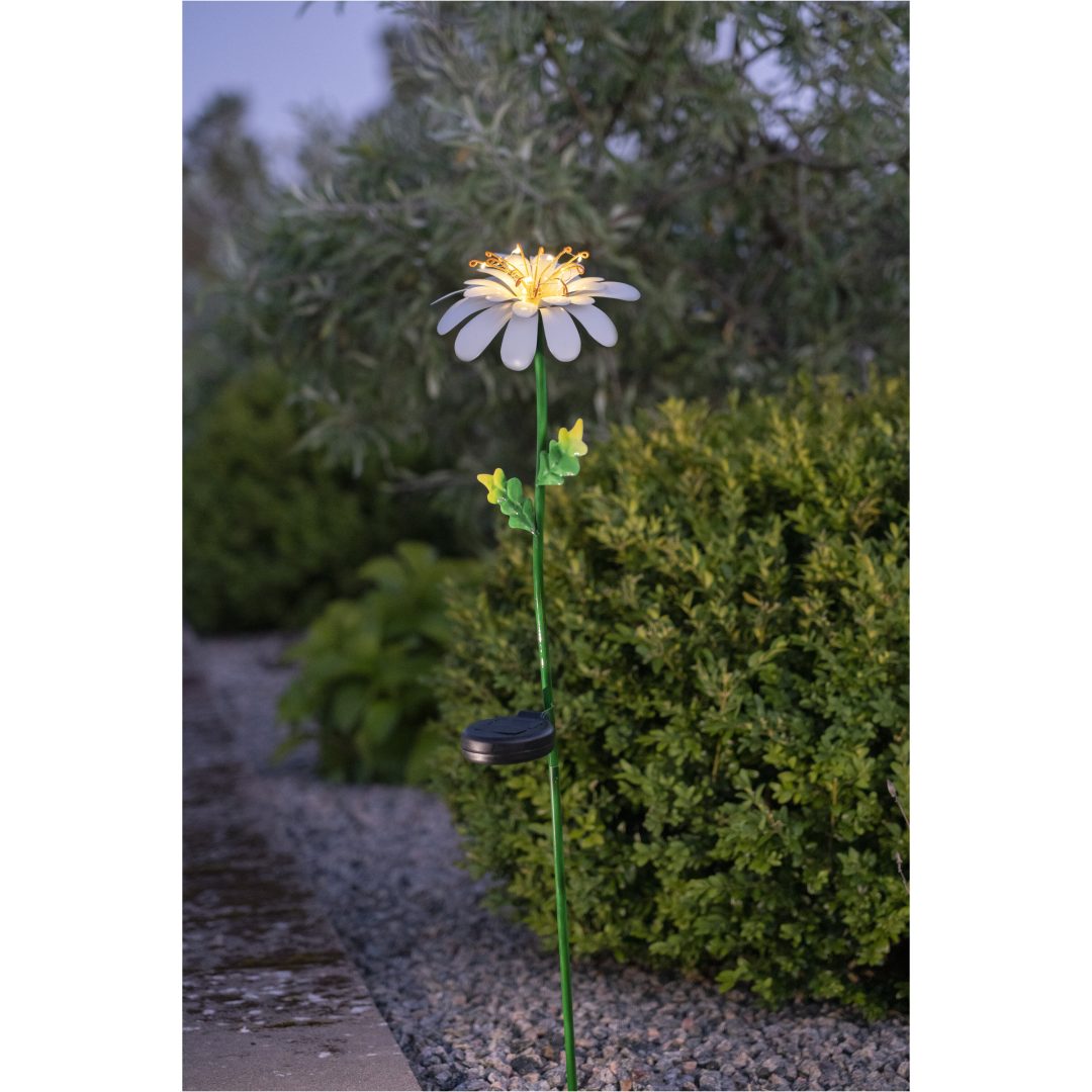 Solcellsdekoration Daisy Vit Star Trading – bild 5