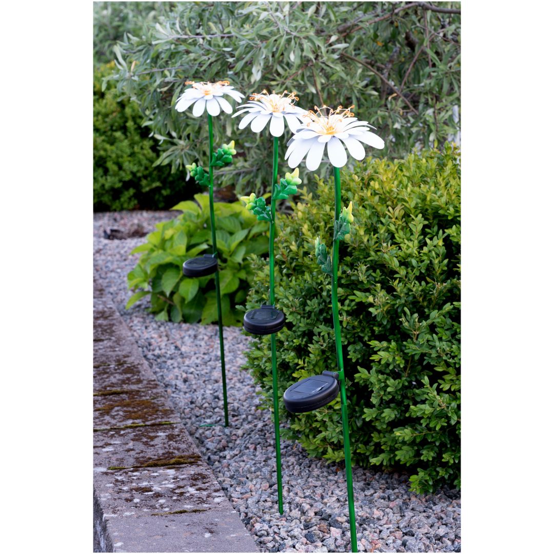 Solcellsdekoration Daisy Vit Star Trading – bild 4