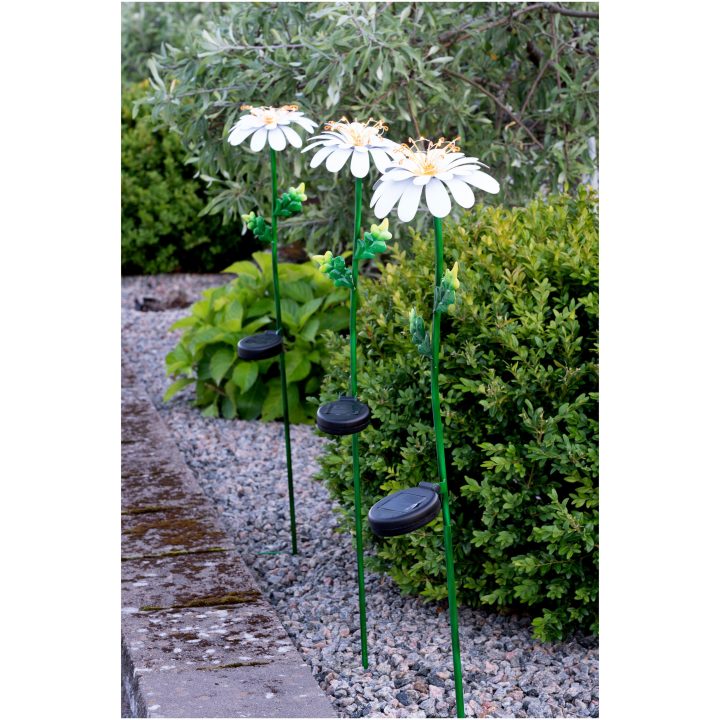 Solcellsdekoration Daisy Vit Star Trading – bild 4