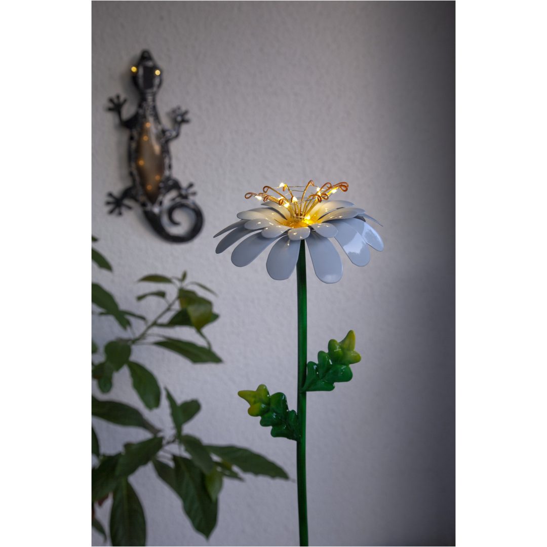 Solcellsdekoration Daisy Vit Star Trading – bild 2