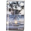 Solcellsdekoration Fille Transparent Star Trading – miniatyr 2