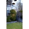 Solcellsdekoration Firework Solar Svart Star Trading – miniatyr 4