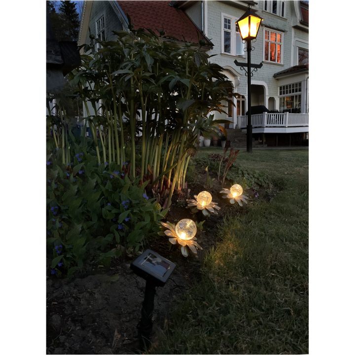 Solcellsdekoration Lilly 3 p Guld Star Trading – bild 6