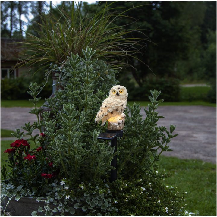 Solcellsdekoration Owl Beige Star Trading – bild 7