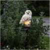 Solcellsdekoration Owl Beige Star Trading – miniatyr 6