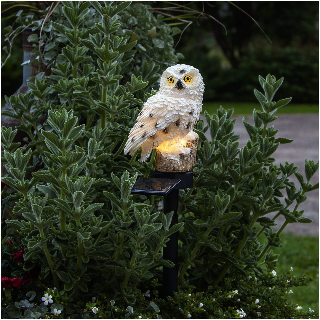 Solcellsdekoration Owl Beige Star Trading – bild 6