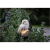 Solcellsdekoration Owl Beige Star Trading – miniatyr 5