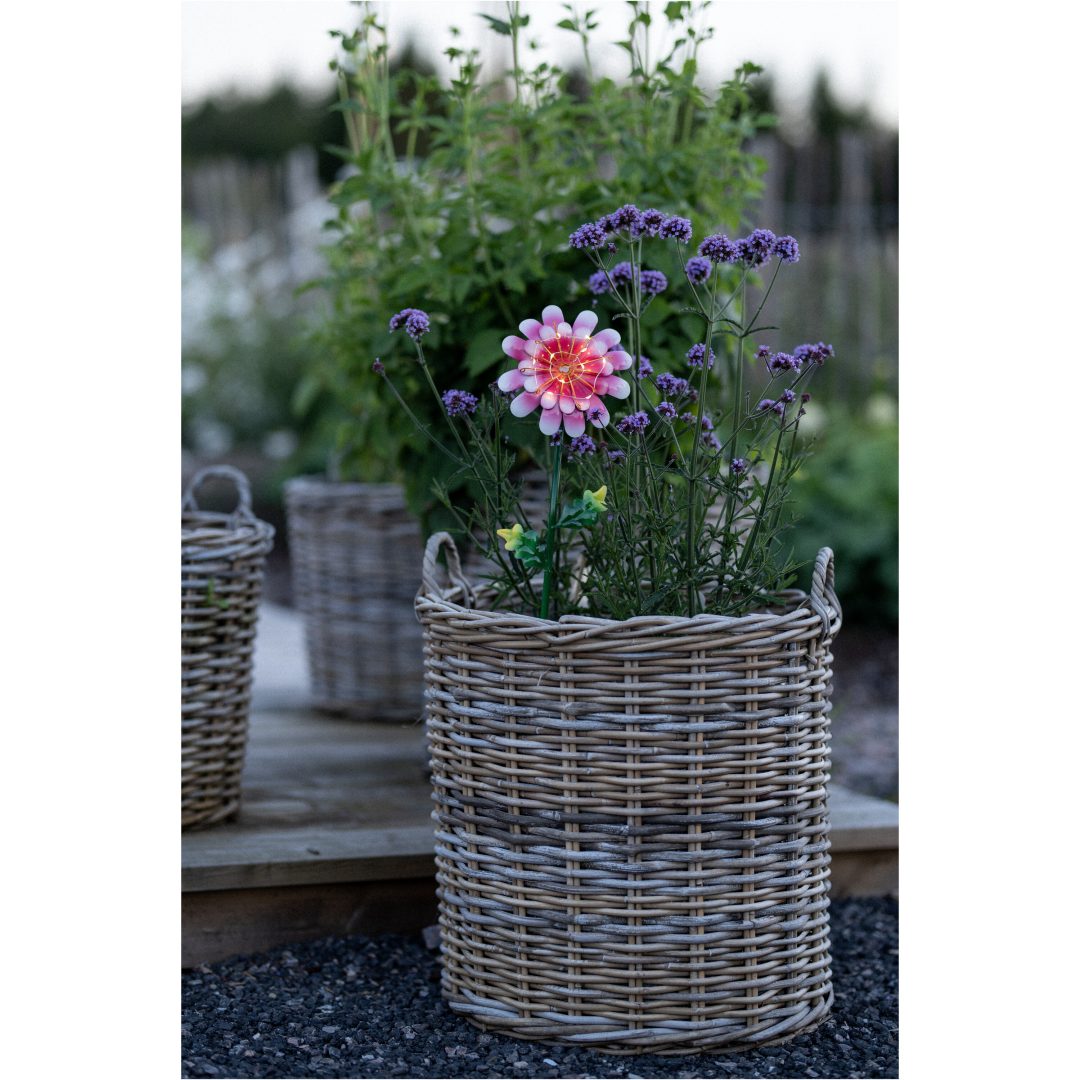Solcellsdekoration Pink Daisy STAR TRADING – bild 6