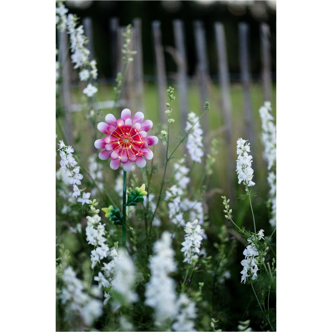 Solcellsdekoration Pink Daisy STAR TRADING – bild 7