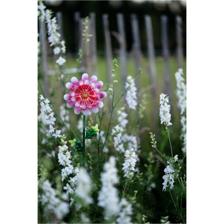 Solcellsdekoration Pink Daisy STAR TRADING – bild 7