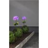 Solcellspinne Hortensia Rösa Star Trading – miniatyr 6