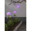 Solcellspinne Hortensia Rösa Star Trading – miniatyr 4