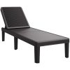 Solsäng justerbar 4 höjder 155,5x57x28 cm polypropen vidaXL – miniatyr 2