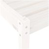 Solsängar 2 st vit 199,5x60x74 cm massiv furu vidaXL – miniatyr 6