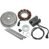 Spänningsregulator Standard Svart CYCLE ELECTRIC INC REG.FL/FX 81-88 74516-86 – miniatyr 2