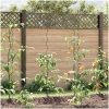 Spiralväxtstöd (20 st, 150 cm, Stål) vidaXL 150 cm hög – miniatyr 1