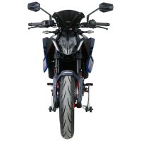 Sport Screen "NSPM" MRA