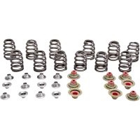 SPRING KIT VALVE BEEHIVE