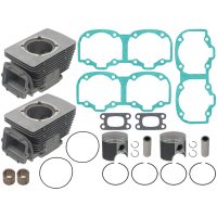 Standard Cylinder Kit Ski-Doo 550F Sno-X