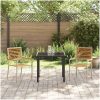 Stapelbara Trädgårdsstolar - Set om 2 i Beige Poly Rattan. vidaXL 54 x 56 x 90 cm – miniatyr 3