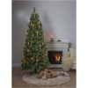 Star Trading Julgran Cembrini Grön – miniatyr 7