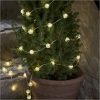 Star Trading Ljusslinga Berry Transparent – miniatyr 2
