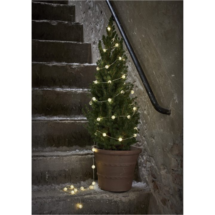 Star Trading Ljusslinga Berry Transparent – bild 3