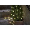 Star Trading Ljusslinga Berry Transparent – miniatyr 4