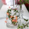 Star Trading Ljusslinga Dew Drop Rösa – miniatyr 9