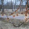 Star Trading Ljusslinga Flower Curtain Svart – miniatyr 6