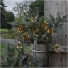 Star Trading Solcells-ljusslinga Firework Solar Svart – miniatyr 7