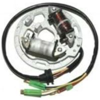 Stator ELECTROSPORT