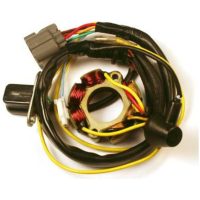 Stator ELECTROSPORT