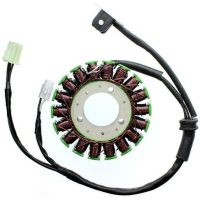 Stator ELECTROSPORT