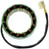 Stator ELECTROSPORT – miniatyr 1