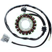 Stator ELECTROSPORT