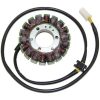 Stator ELECTROSPORT – miniatyr 1