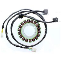 Stator ELECTROSPORT