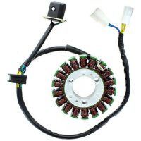 Stator ESG 368 EFI ELECTROSPORT