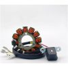 Stator Hot Shot RICKS MOTORSPORT – miniatyr 1