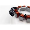 Stator Ricks Motorsport – miniatyr 2