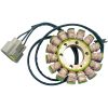Stator Ricks Motorsport Stator – miniatyr 3