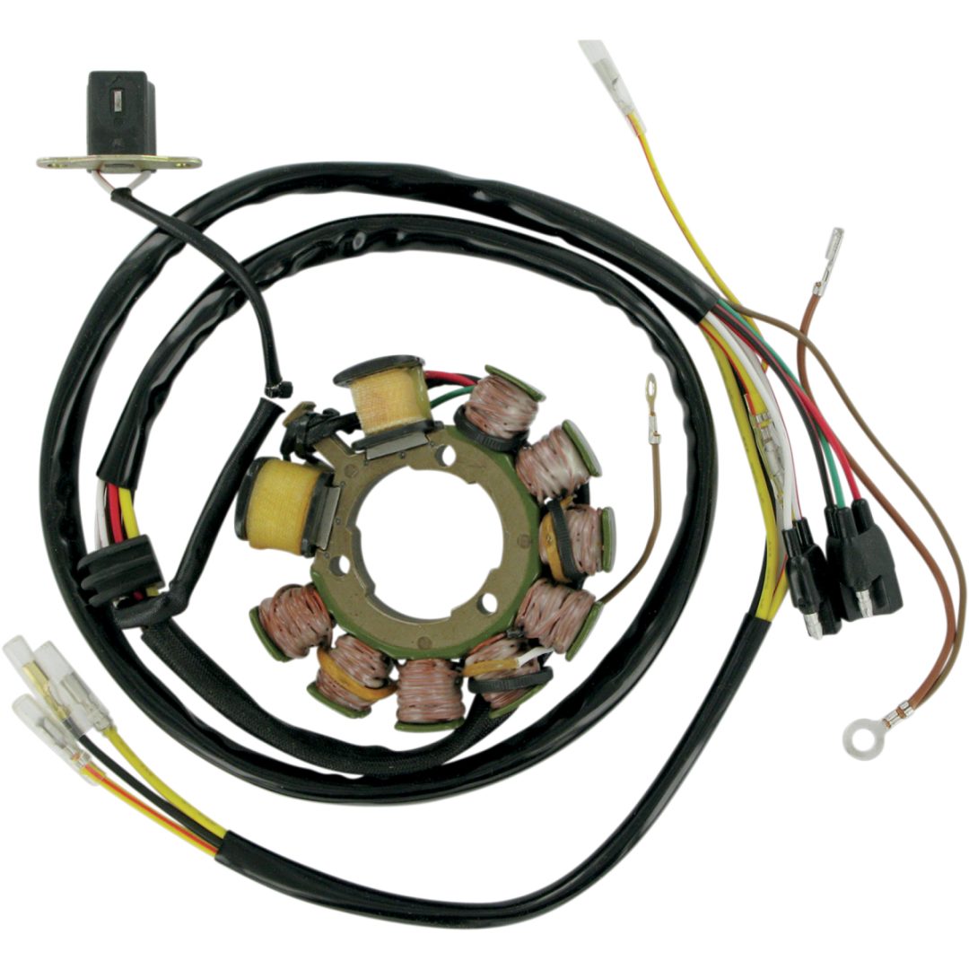 Stator Ricks Motorsport STATOR POL EXPED 2000