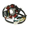 Stator Standard 101 OCTANE Stator – miniatyr 1