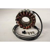 Stator Standard RICKS MOTORSPORT