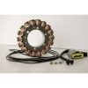 Stator Standard RICKS MOTORSPORT OEM – miniatyr 1