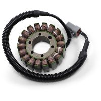 Stator Standard RICKS MOTORSPORT