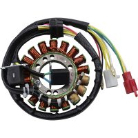 Stator Standard RICKS MOTORSPORT